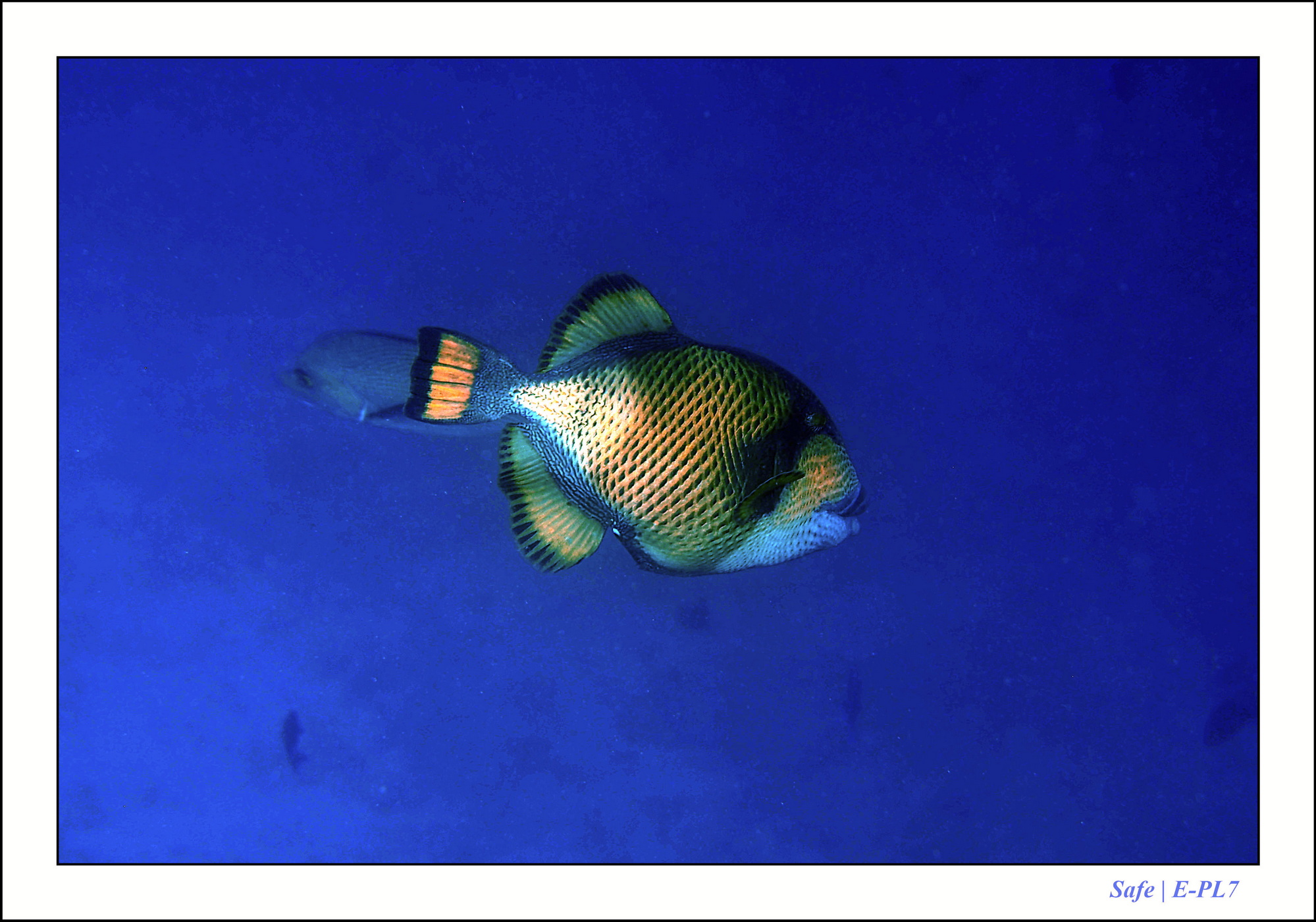 2023 - 07 - Sandies Bathala - 159